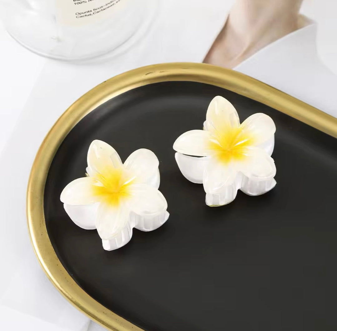 accessoires voor dames β Trendy | Haarclips in Bloemvorm