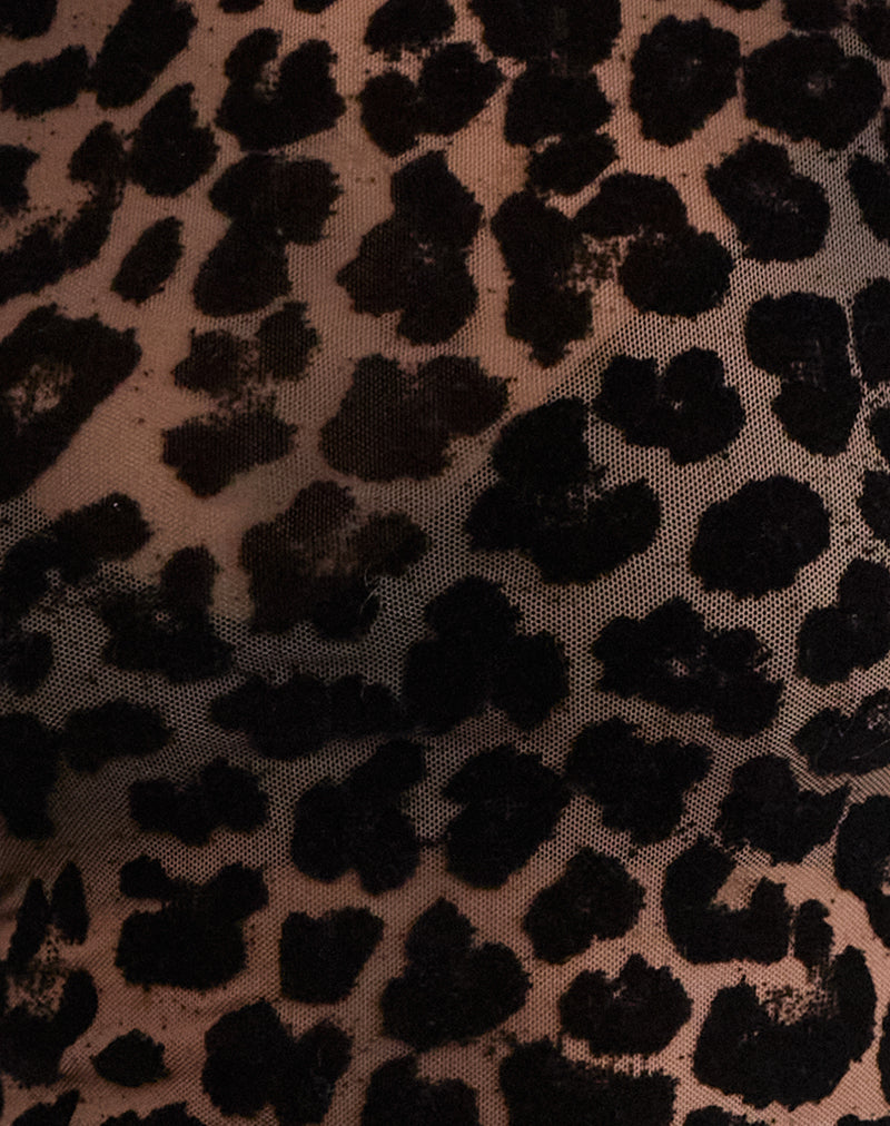 Angelica | Leopard Mesh Top - Fashion Lab